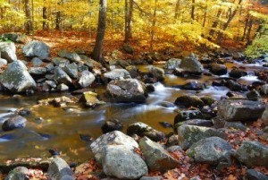 creek in autumn