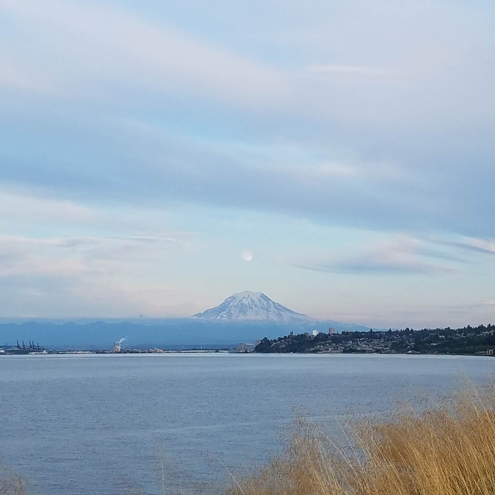 Photo of the moon above Mount Rainier, taken from the Frank Herbert Dune Peninsula Park in Tacoma