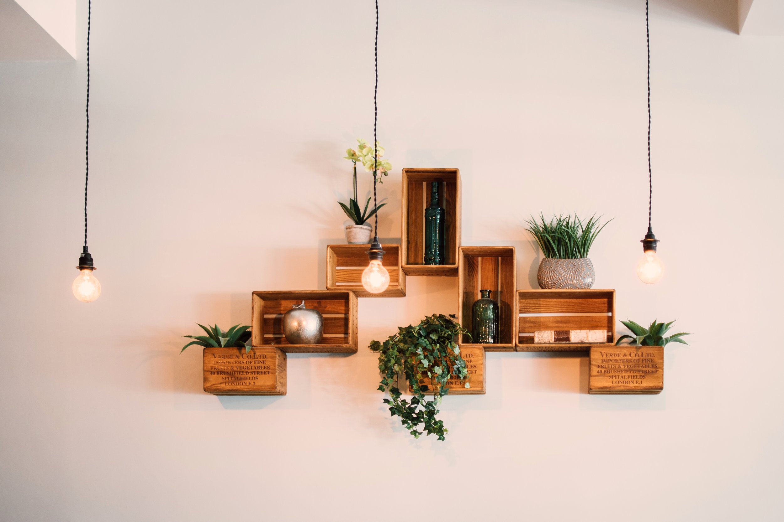 wooden crates with succulents displayed as wall art