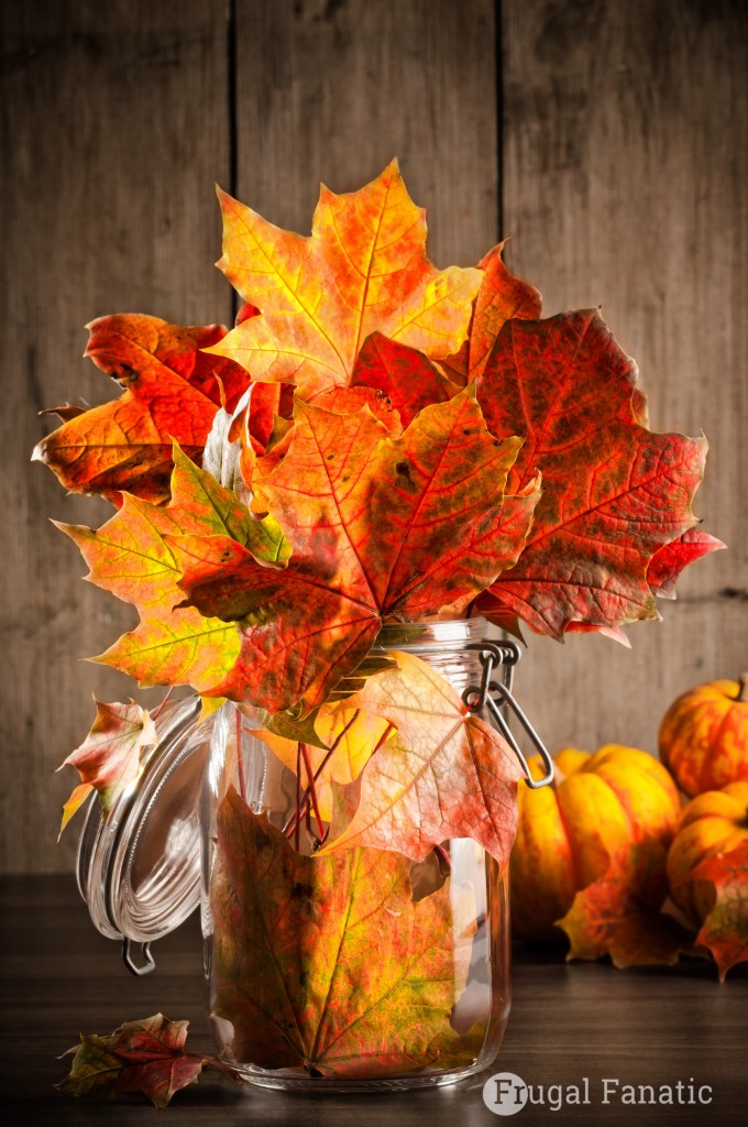Do you like decorating for Fall, but do not like spending a lot of money? I have found some great ways to make your home feel warm and inviting for Fall without spending a fortune. Read about our frugal fall decorating tips.