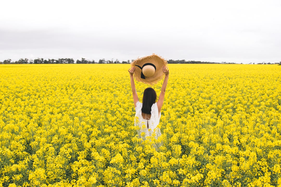 melbourne-canola-fields-k-is-for-kani-alice-mccall-playsuit-8
