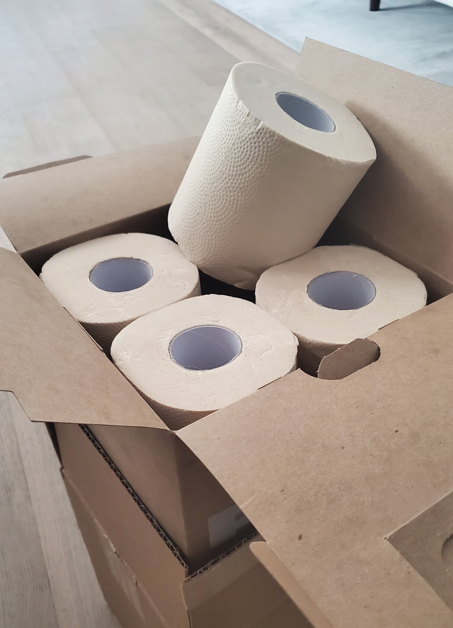 We tried PlantPaper's bamboo toilet paper for a more eco-friendly bathroom  experience. — The Reduce Report