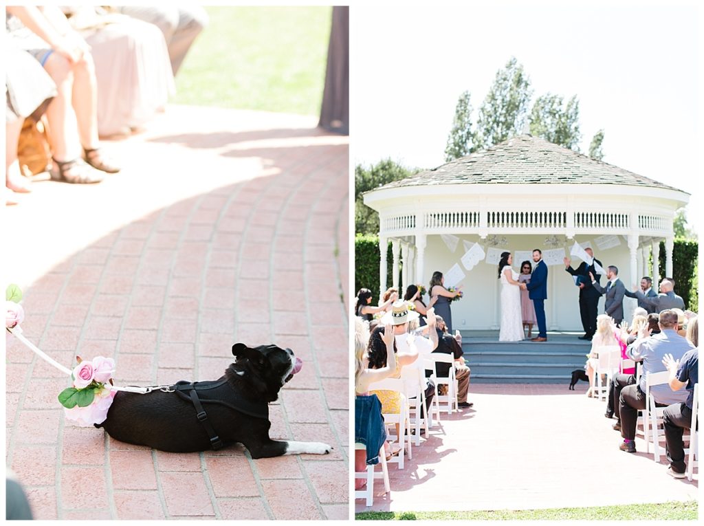 Dog watching as parents get married