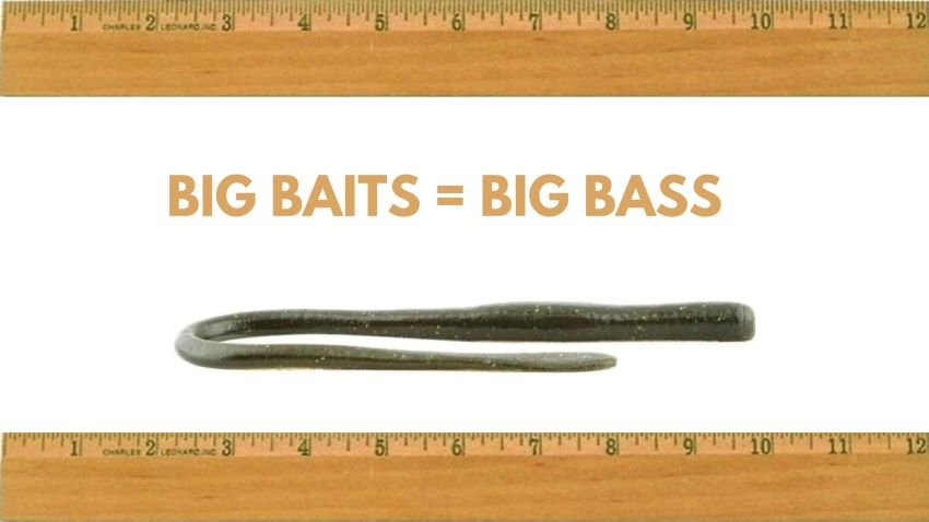 Fishing Scales for Heavyweights — Half Past First Cast