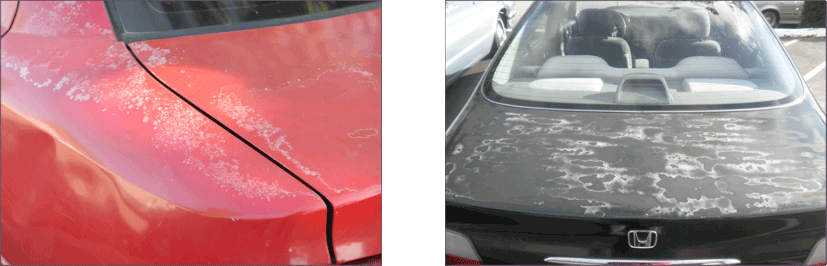 Can You Ceramic-Coat Exterior Plastics on Vehicles? - TopCoat Products, LLC