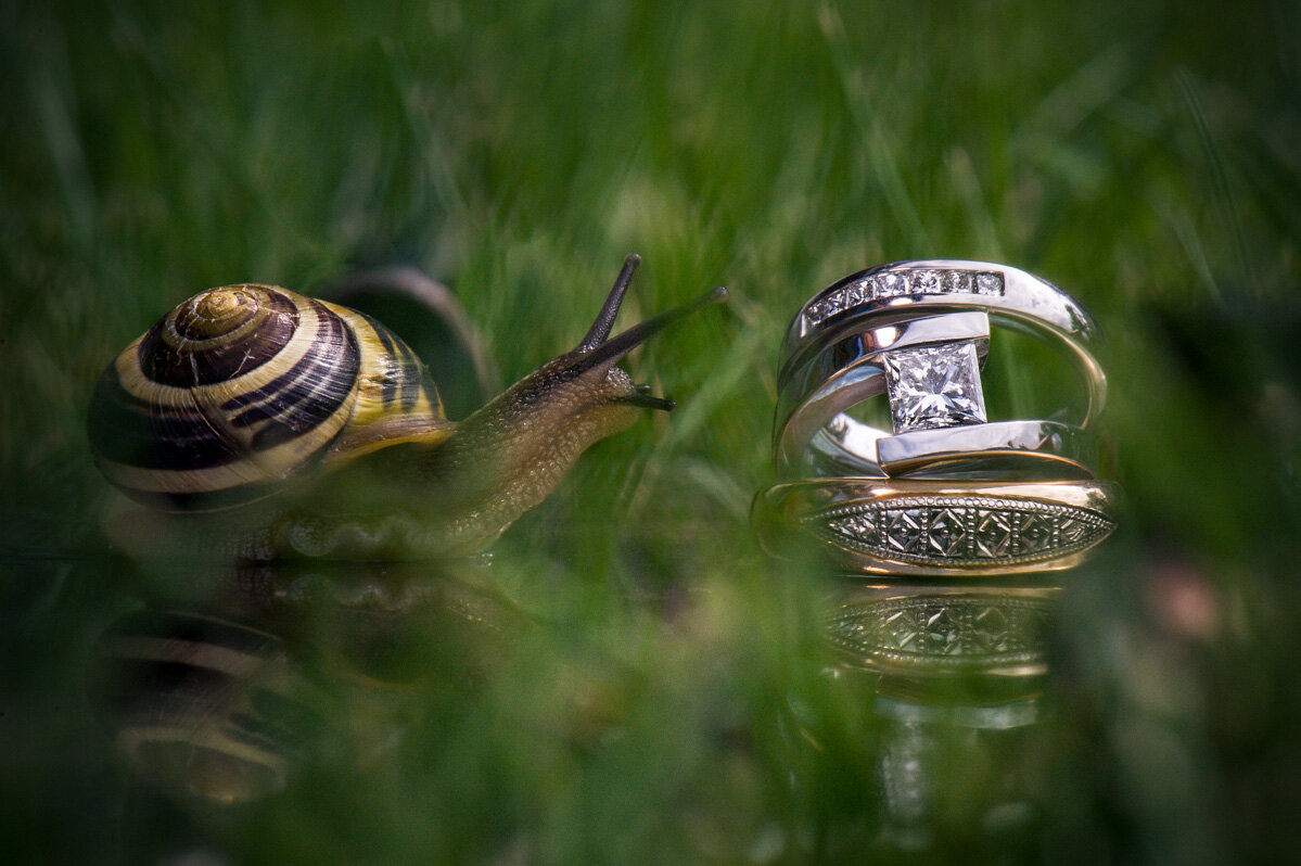 engagement and wedding ring close-up macro, detail shot