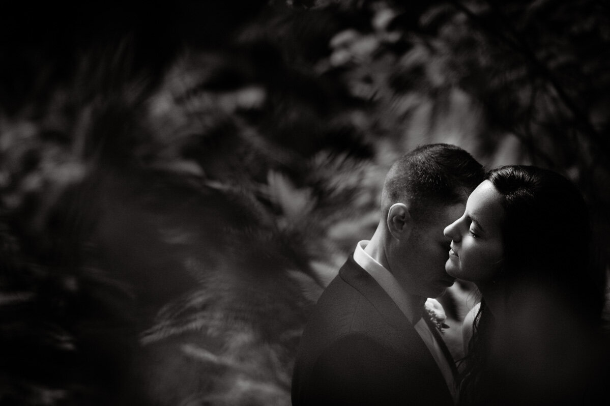 dark moody bride and groom portrait in tofino wickanninish rainforest