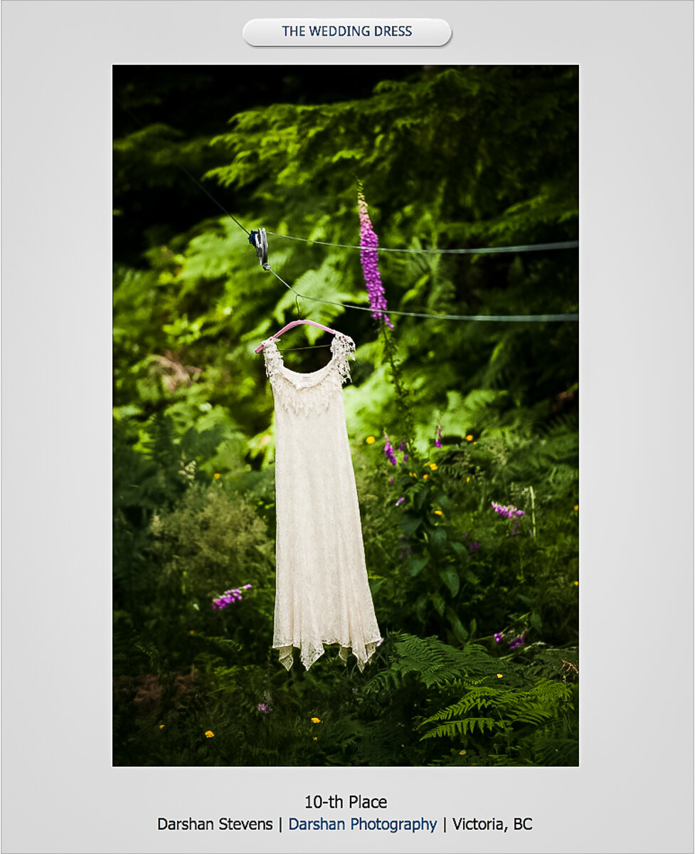 wedding dress, outdoors, nature, flowers