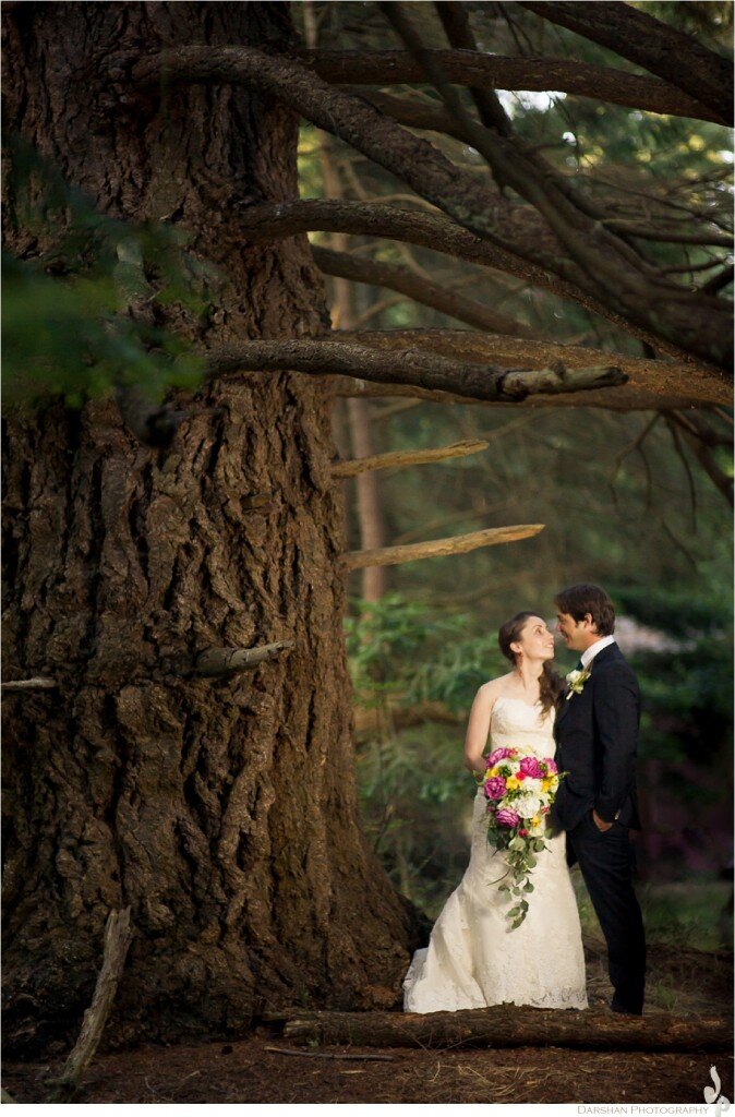 bride and groom portrait with tree