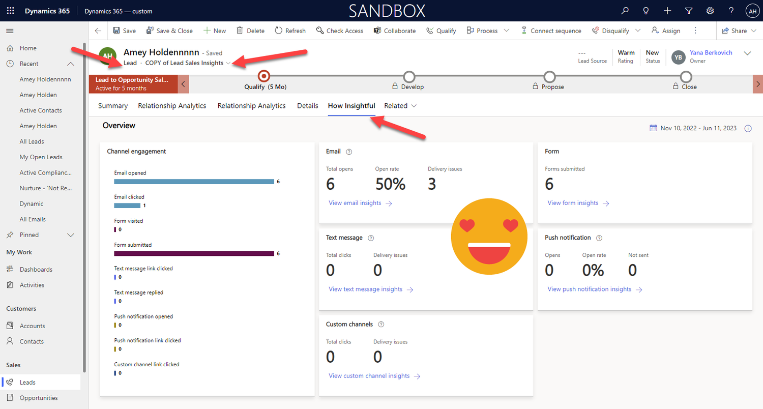 Add the Insights tab to Lead and Contact forms in Dynamics 365 Marketing