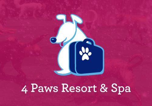 four paws hotel and spa