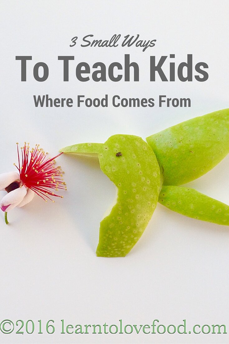 Pinterest 3 small ways to teach kids where food comes from