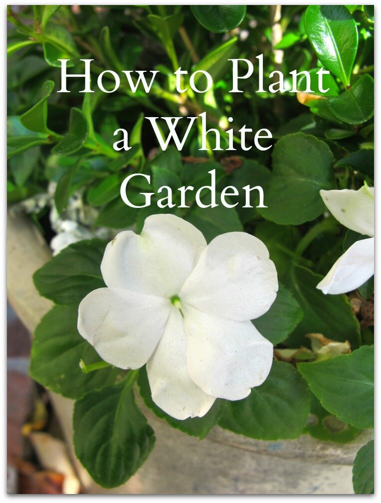 Plant-a-white-garden-www.mysoulfulhome.com