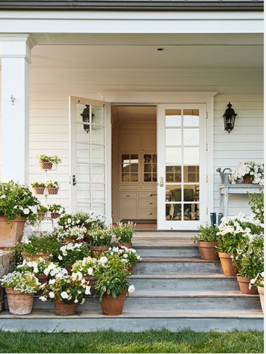 Container planting http://mysoulfulhome.com