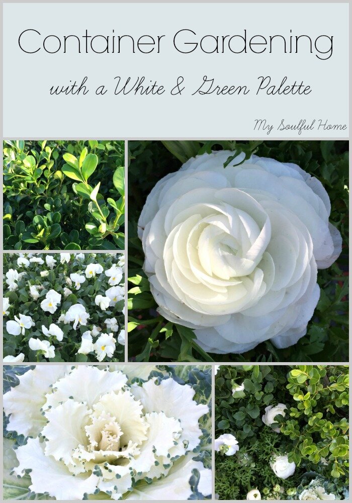 Container gardening with a white & green palette http://mysoulfulhome.com