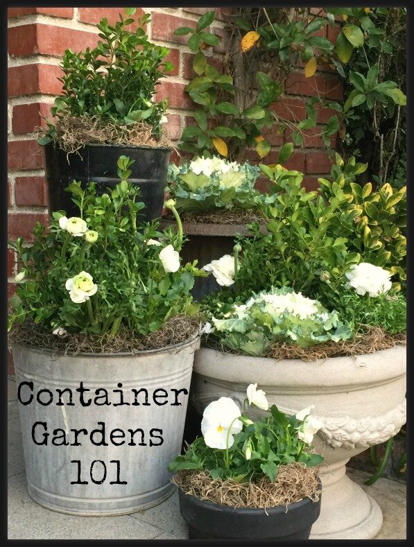Container garden group containers of varying heights for impact http://mysoulfulhome.com