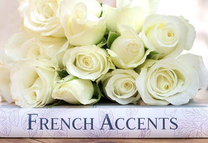 French Accents decor book http://mysoulfulhome.com