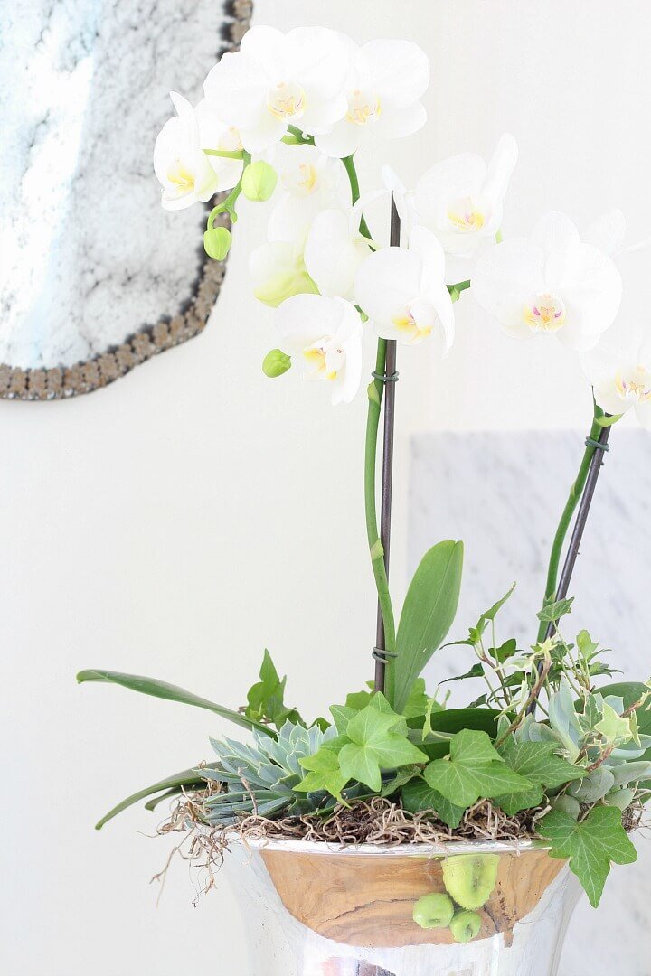 Orchid arrangement kitchen http://mysoulfulhome.com