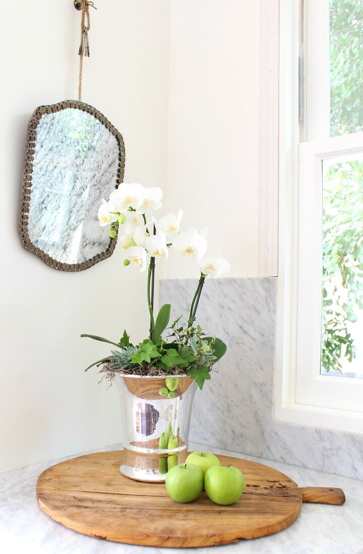 Orchid arrangement kitchen counter http://mysoulfulhome.com