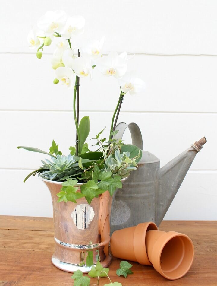 Orchid arrangement pots http://mysoulfulhome.com