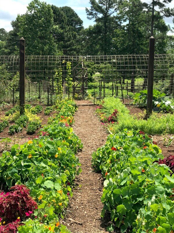 Vegetable garden compost http://mysoulfulhome.com