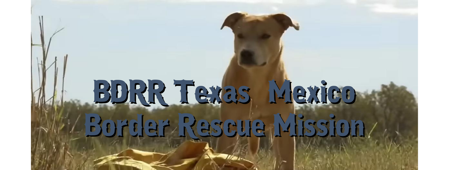 Big Dog Ranch Rescues Hundreds Of Dogs From Texas-Mexico Border