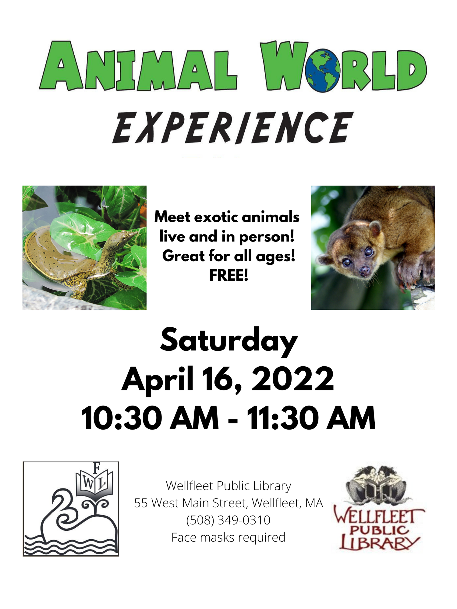Animal World Experience- All ages. In person. — Wellfleet Public Library