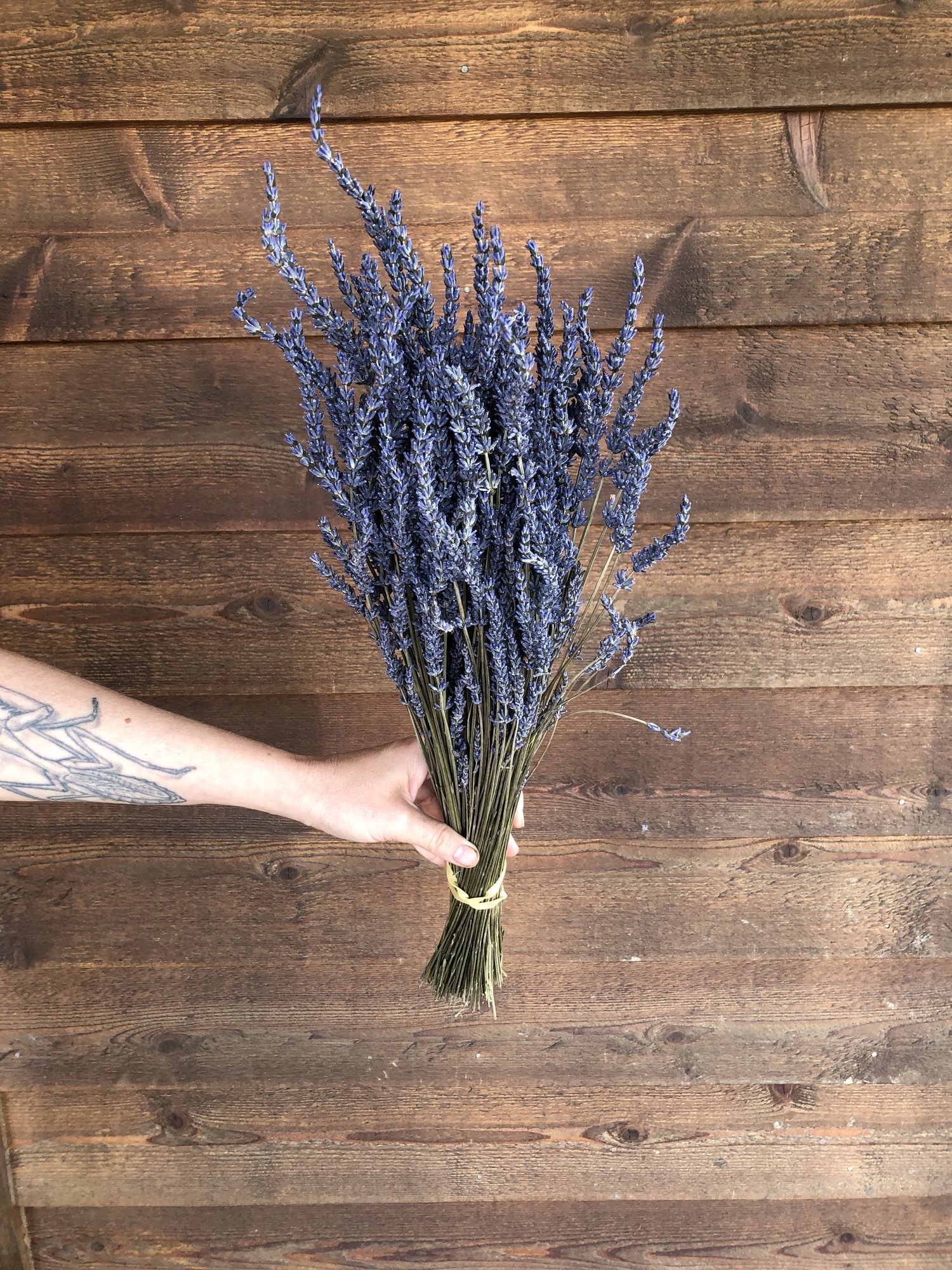 Loose Dried French Lavender Flowers - New York – Lavender By The Bay