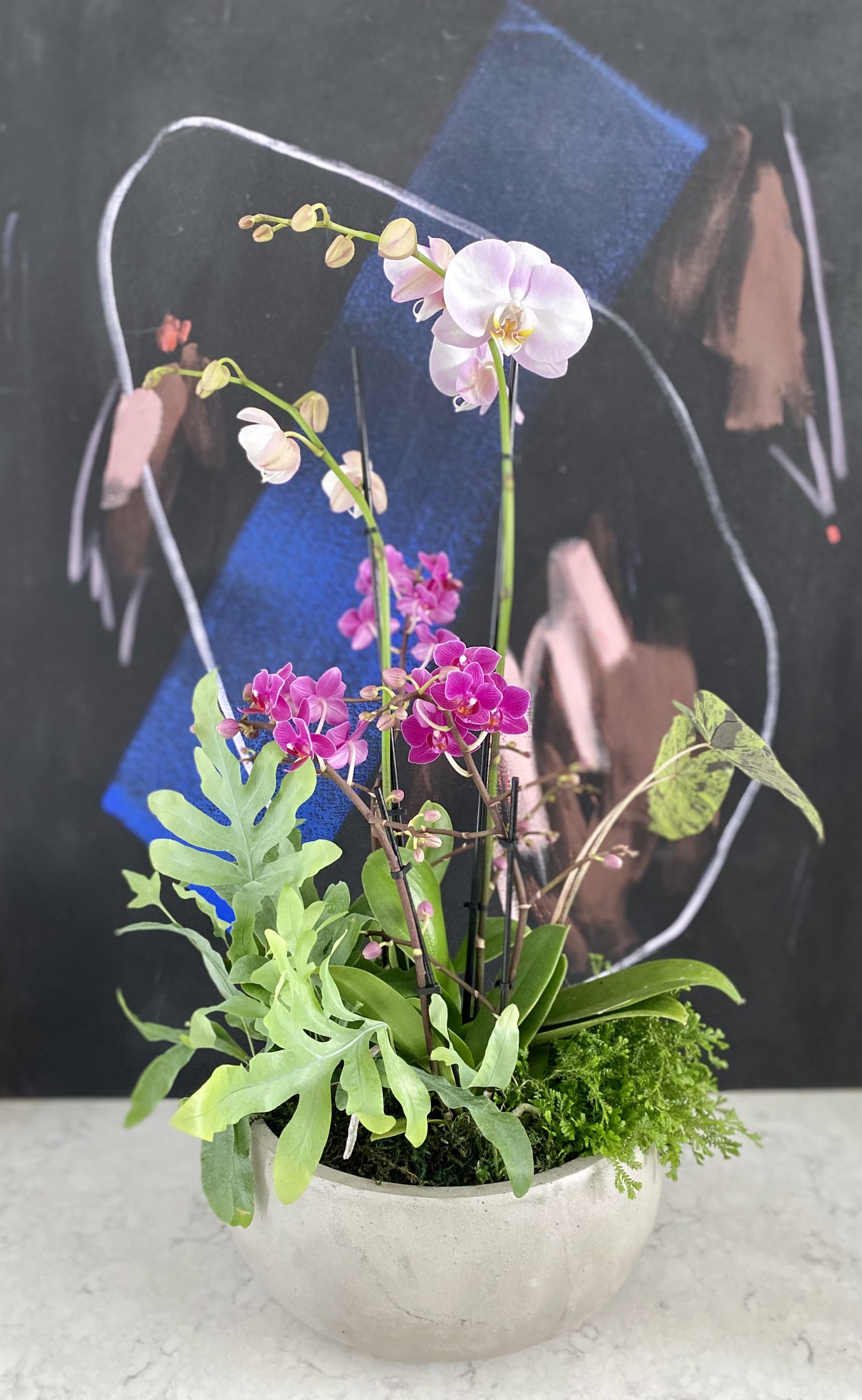 Orchid Arrangement — The Tender Gardener