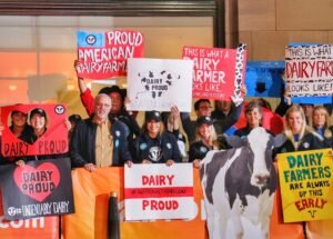 Undeniably Dairy in NYC