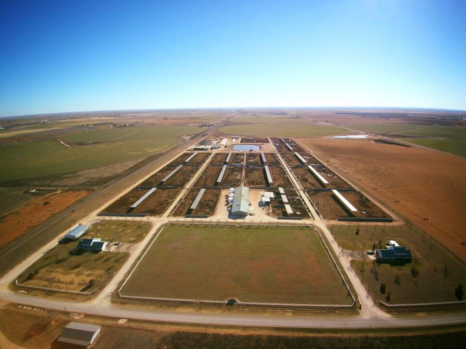 Aerial view of our dairy