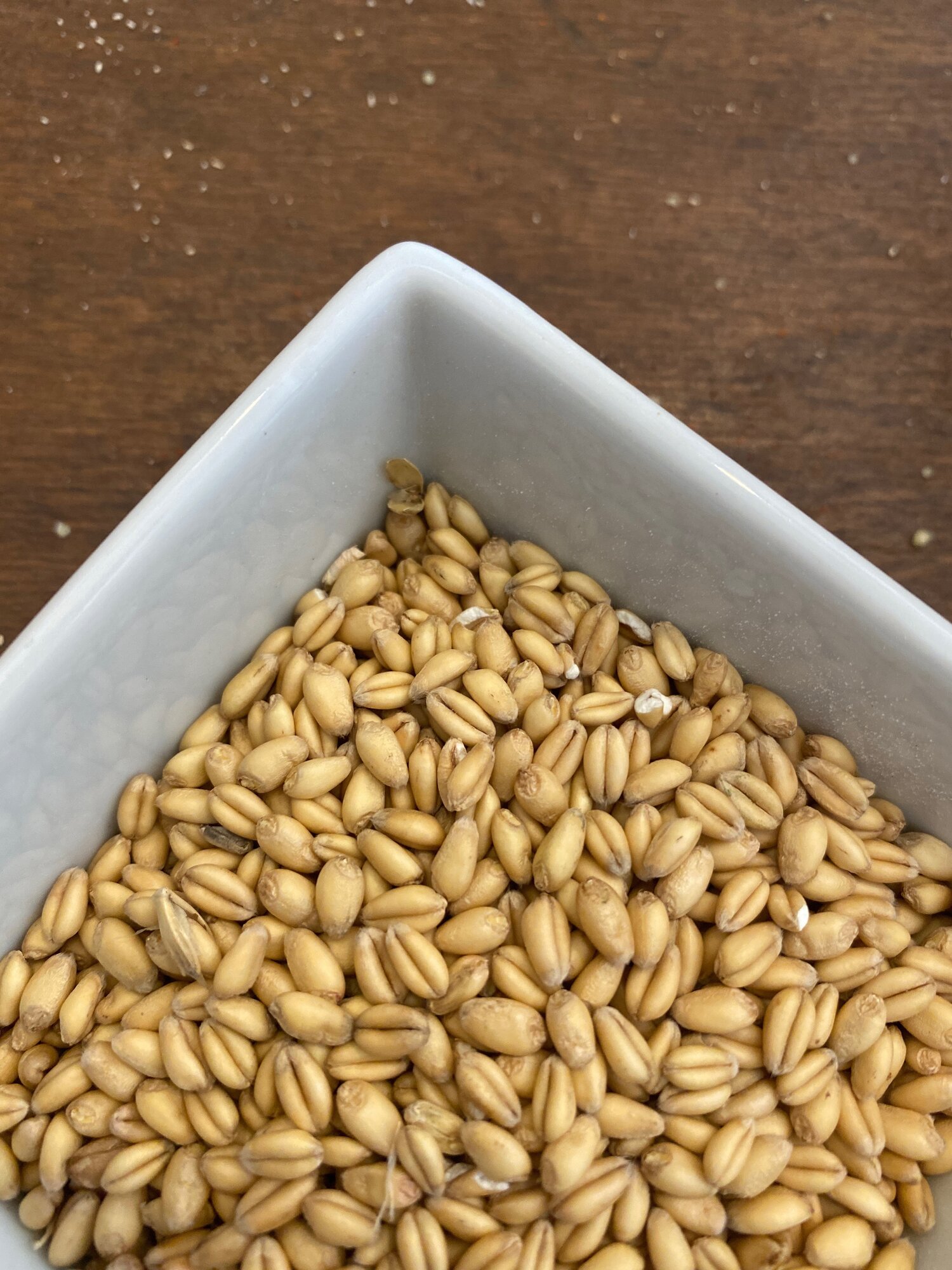 Soft White Wheat Berries — Christina\'s Spice & Specialty Foods