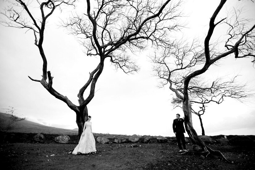 Maui Wedding Photographer 5012