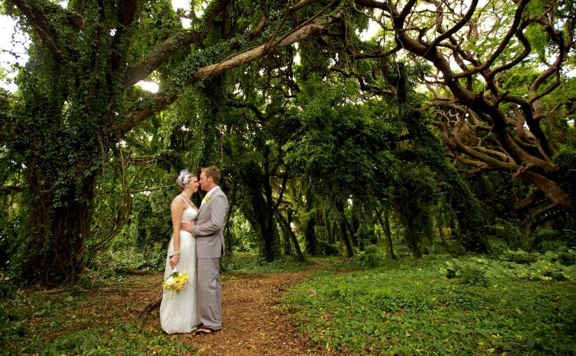 Maui_Wedding_Photographer 1
