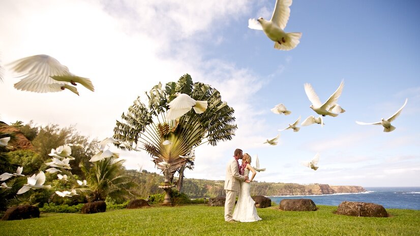 Spirit of Aloha wedding