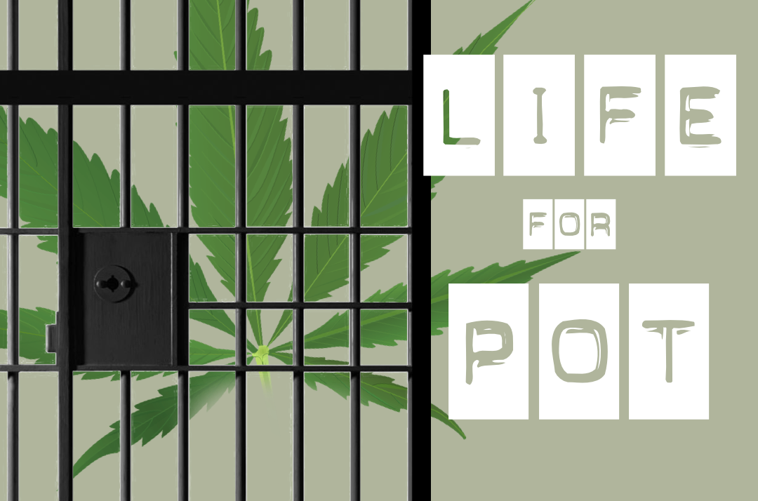 www.lifeforpot.com