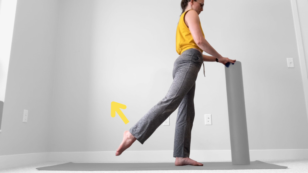 Standing Back Leg Lifts — Dani Winks Flexibility