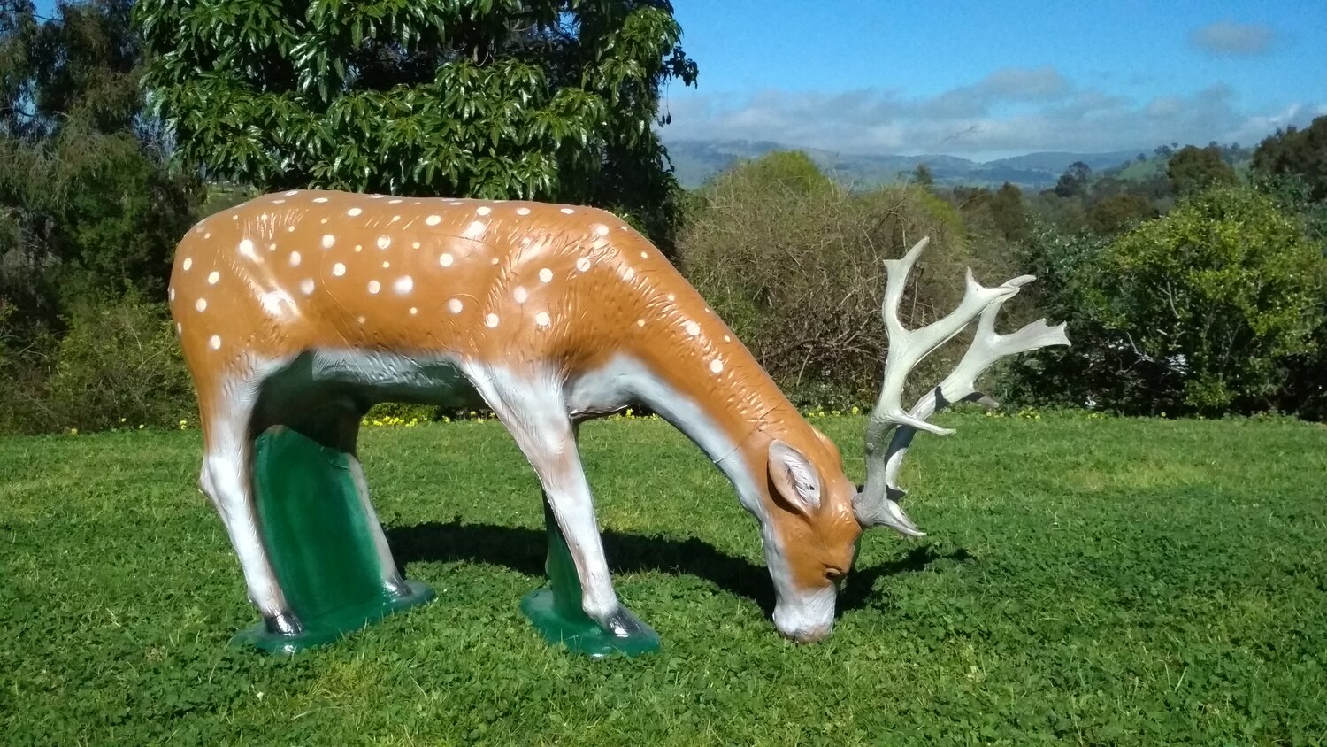 Aussie targets 3D Fallow Deer is realistic and produced using our high  density self-healing material — Aussie Targets