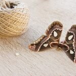 Knitting and Crochet inspiration