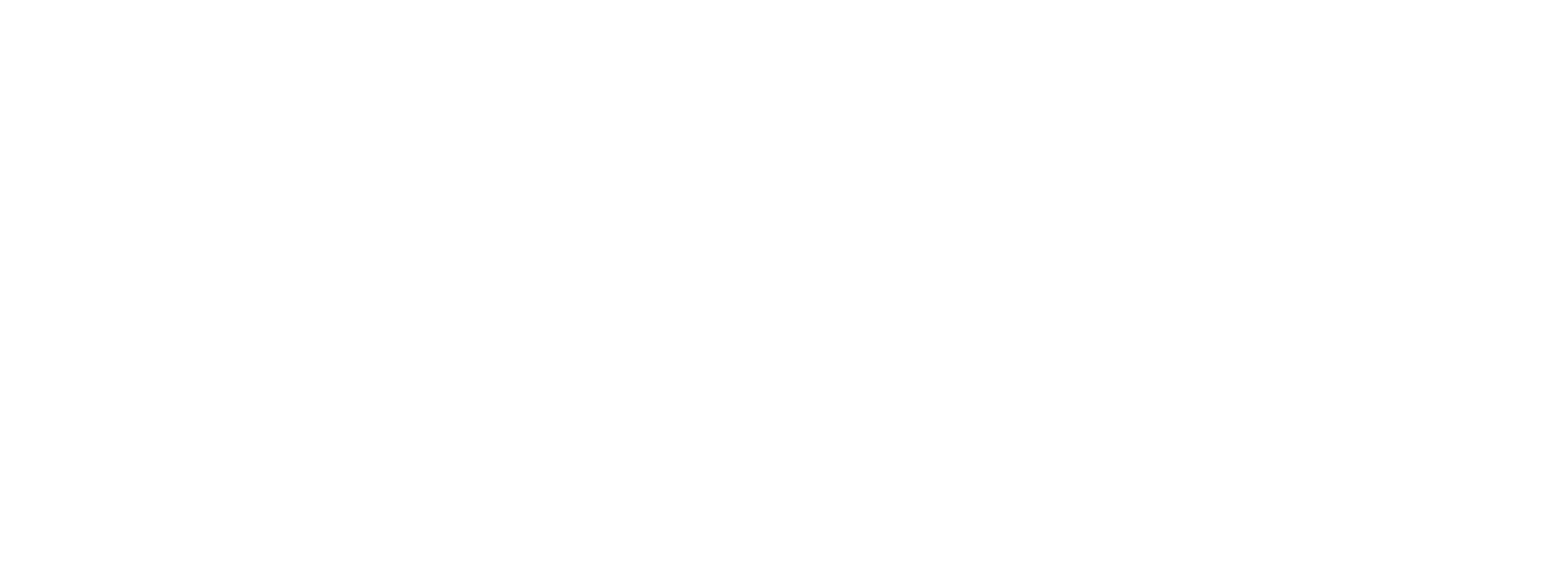 American Industrial Inc