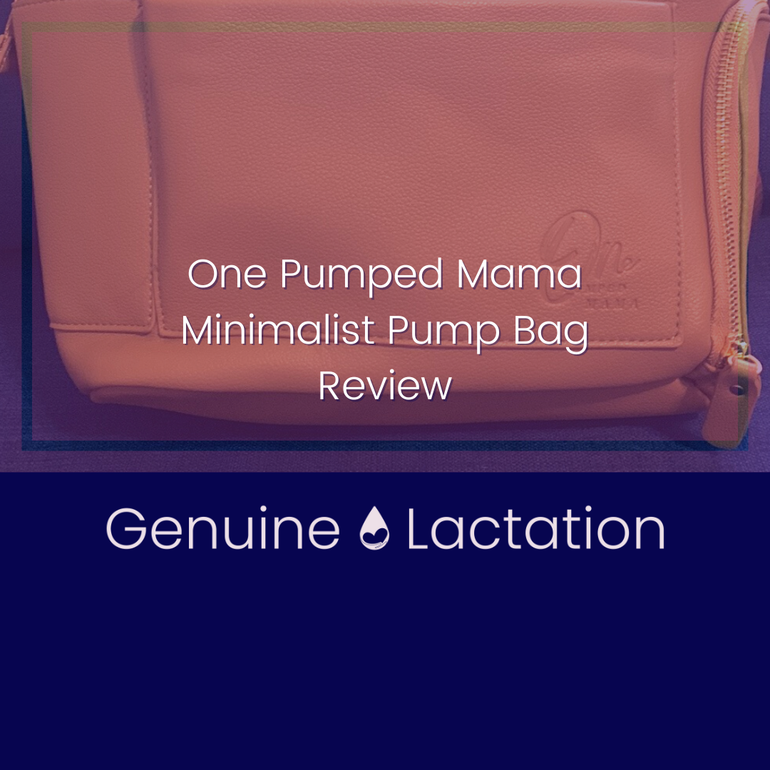 THE MINIMALIST BREAST PUMP BAG – One Pumped Mama