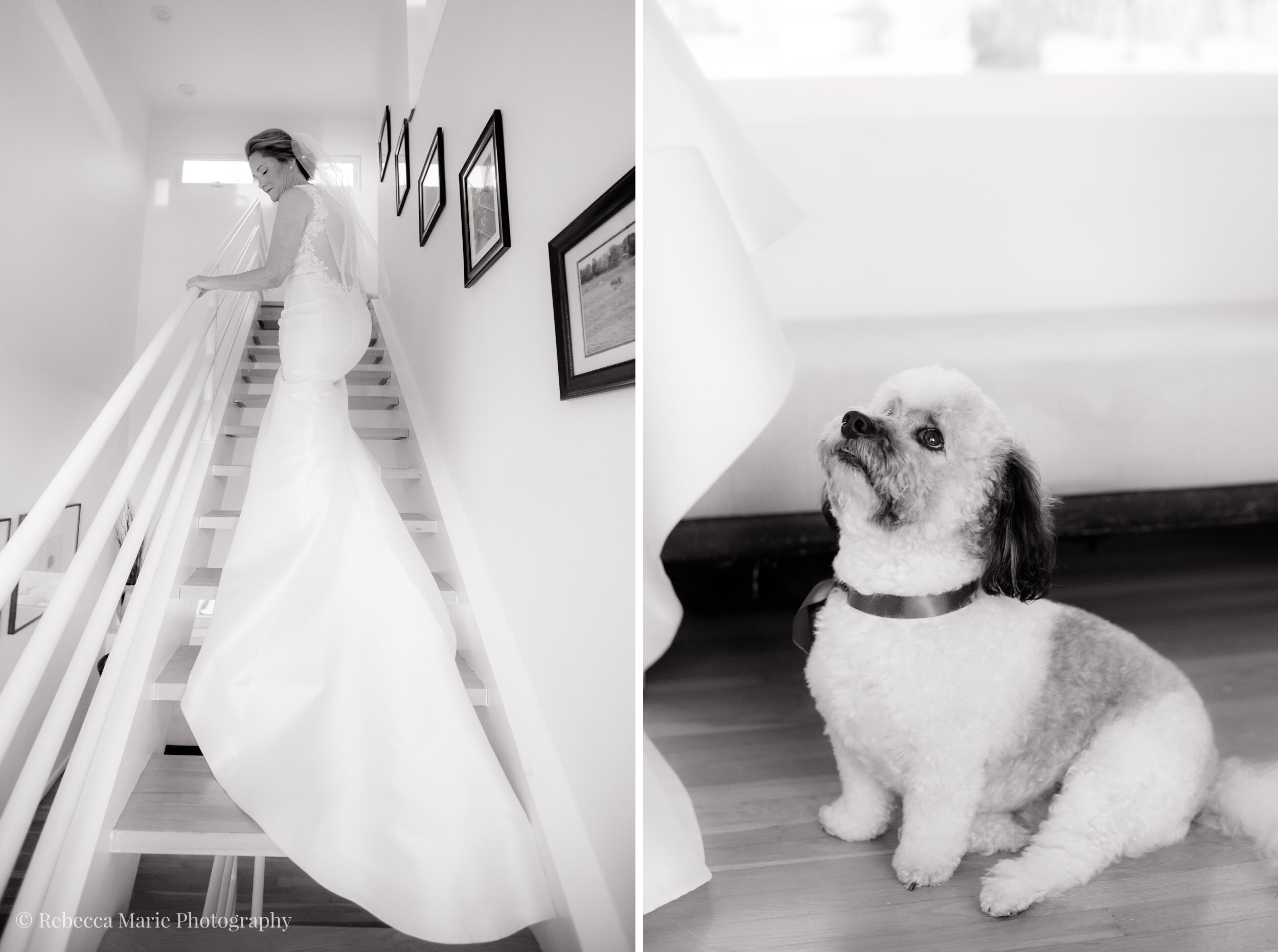 intimate-christmas-wedding-chicago-rebecca-marie-photography_0010