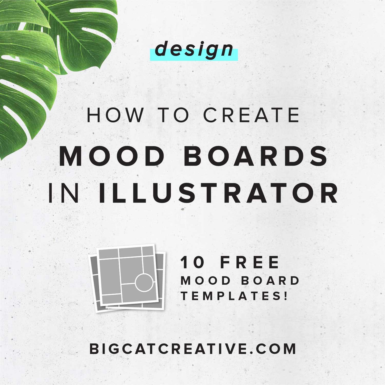 How To Create Mood Boards In Illustrator Big Cat Creative Squarespace Templates