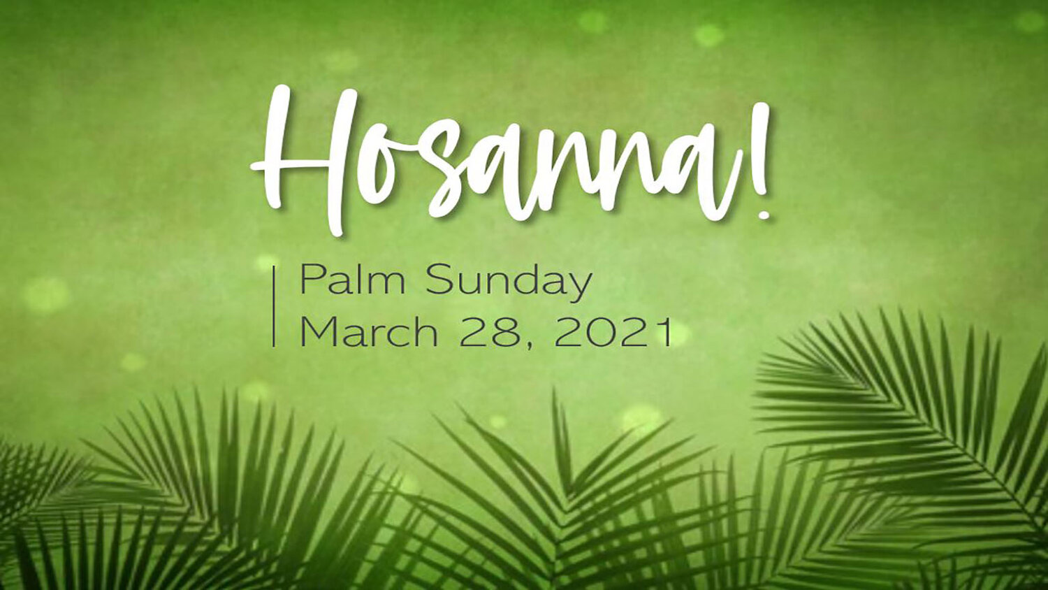 Palm Sunday + Holy Week 2021 — Redeemer