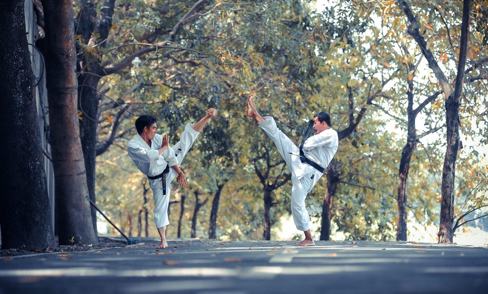 Male Master Chest Guard Sports Mens Boys Karate Boxing Taekwondo Fencing Combat 