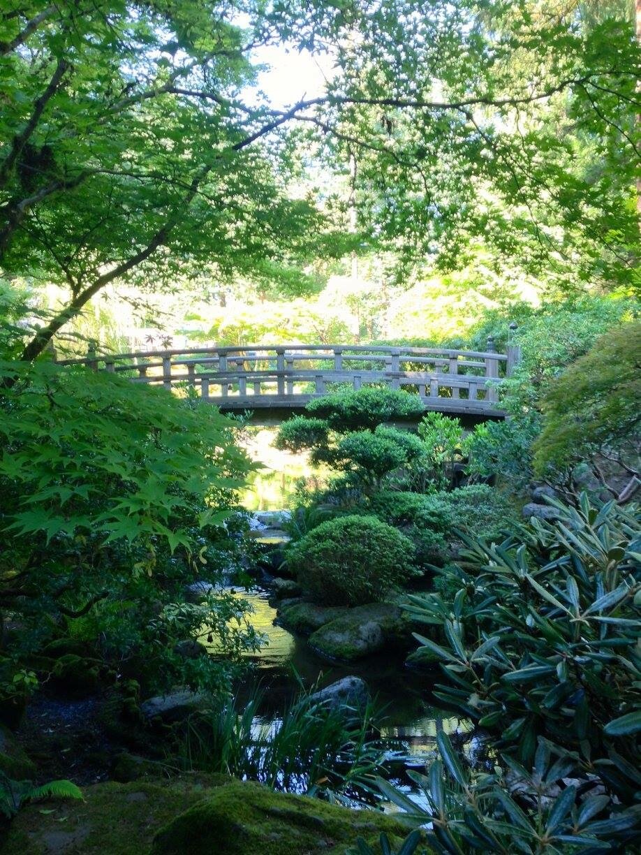 Portland afternoon Japanese Garden