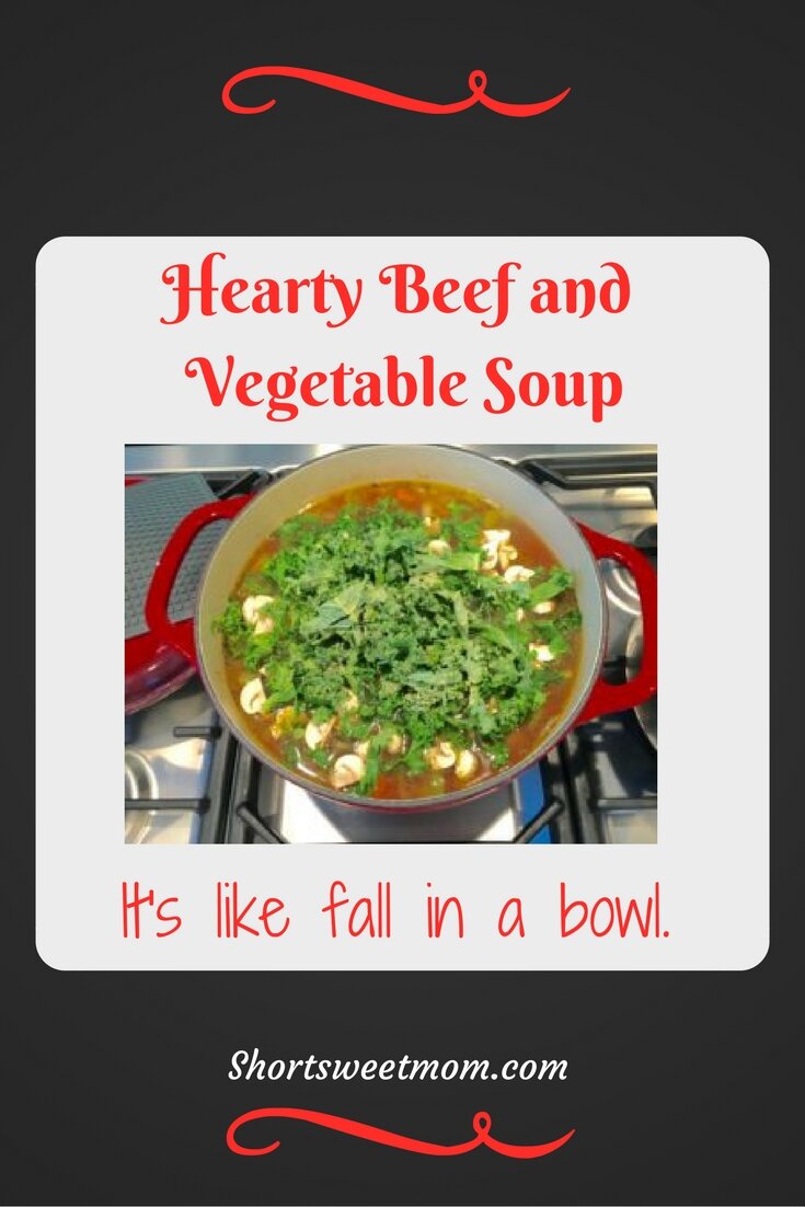 Hearty beef and vegetable beef soup. Gluten free, Dairy free, Braces friendly and toddler approved. Perfect for fall. Visit my site for the recipe or pin for later.