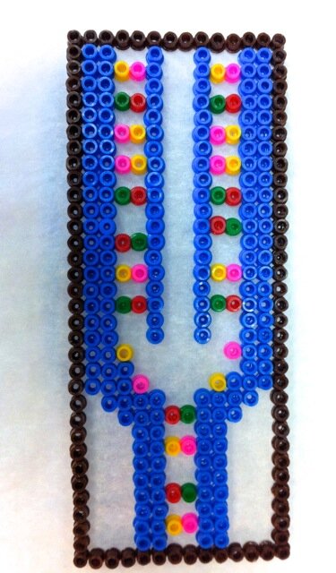 DNA Replication Strands in Perler Beads