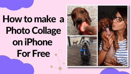 How to make a Photo Collage on iPhone for free (2022)