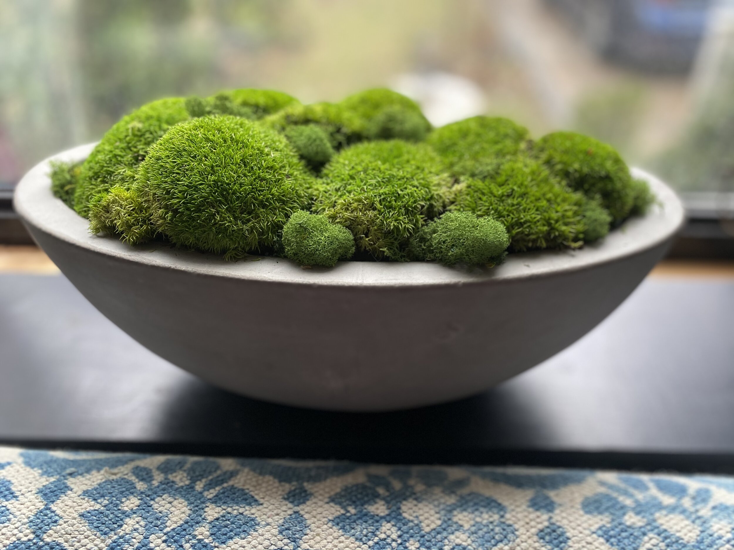 The Crescent Moss Bowl — Wrapped in Moss
